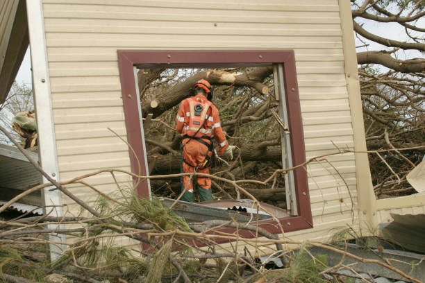 Best Tree Removal  in USA